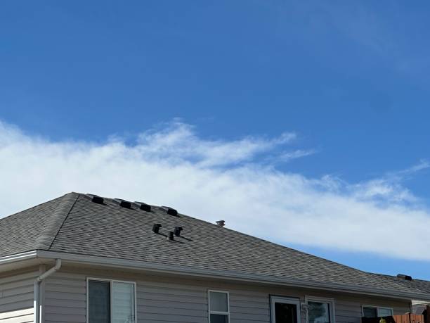Best Green or Eco-Friendly Roofing Solutions  in Bowling Green, MO